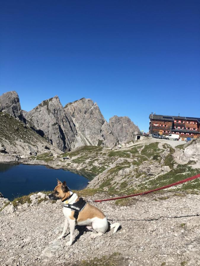 Fruehstueckspension Lemberger Dellach im Drautal Buitenkant foto
